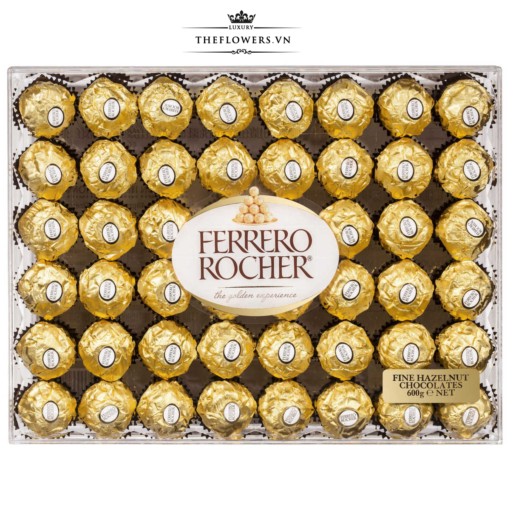 Socola Ferrero Rocher 48 viên