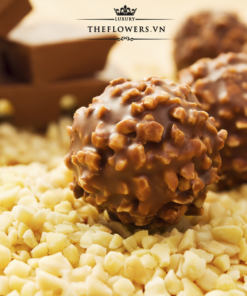 Socola Ferrero Rocher 48 viên