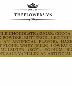 Socola Ferrero Rocher Hazlenut 48 viên