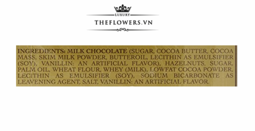 Socola Ferrero Rocher Hazlenut 48 viên