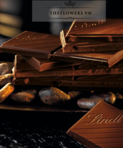 Socola Lindt Excellence Caramel Croquant