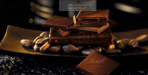 Socola Lindt Excellence Caramel Croquant