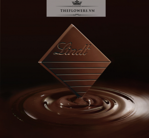 Socola Lindt Excellence Chili – Dark 