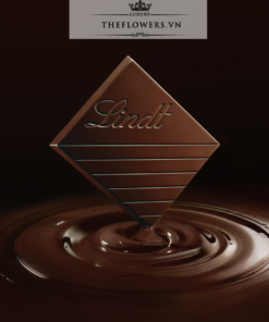 Socola Lindt Excellence Dark Coconut