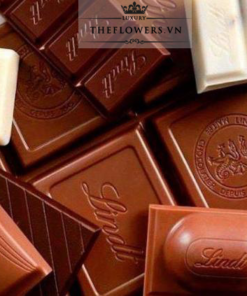 Socola Lindt Swiss Chocolate Boston Gold Bar