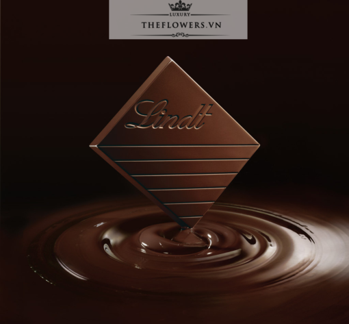Socola Lindt Excellence Crunchy Cocoa