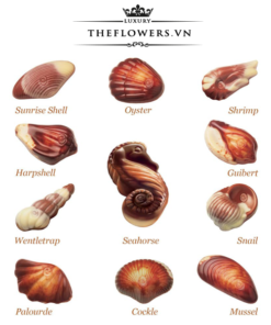 Cac-huong-vi-trong-socola-guylian-sea-shells-original-praline-65g