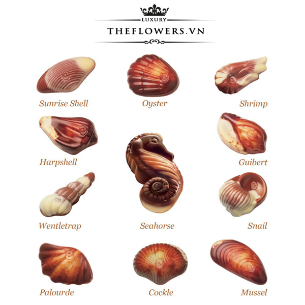 Cac-huong-vi-trong-socola-guylian-sea-shells-original-praline-65g