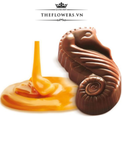 Socola-guylian-sea-horses-caramel-168g-16-vien