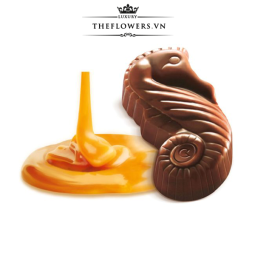 Socola-guylian-sea-horses-caramel-168g-16-vien