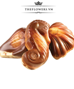 socola-guylian-sea-shells-original-praline-500g-vo-so