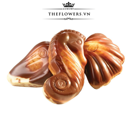socola-guylian-sea-shells-original-praline-500g-vo-so