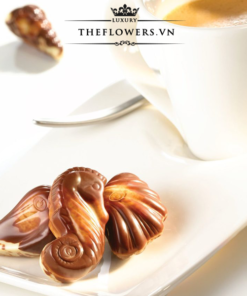 socola-guylian-sea-shells-original-praline-65g-Bi