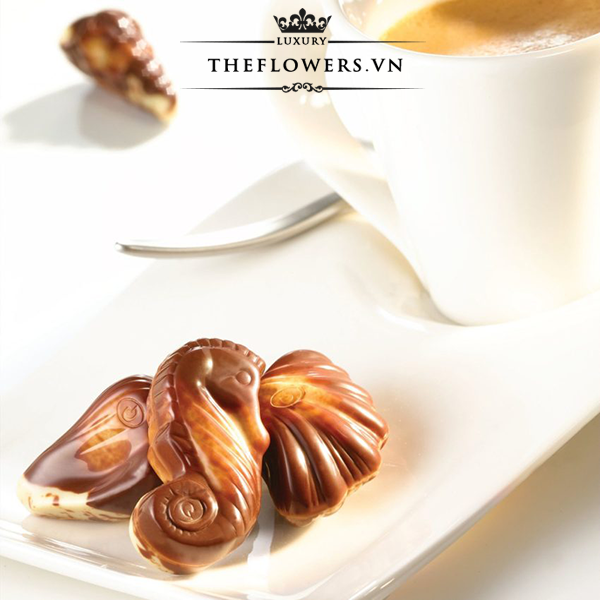 socola-guylian-sea-shells-original-praline-65g-Bi