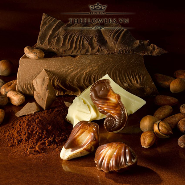 socola-guylian-sea-shells-original-praline-65g-cua-Bi