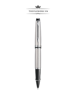 Bút Dạ Bi Waterman Expert 3 Vỏ Thép