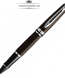 But-Da-Waterman-Expert-Deep-Brown-CT-1