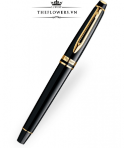 But-Ky-Waterman-Expert-3-Laque-Black-2