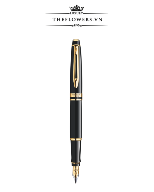 Bút Ký Waterman Expert 3 Laque Black