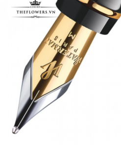 But-ky-Waterman-Expert-3-Laque-Black-3