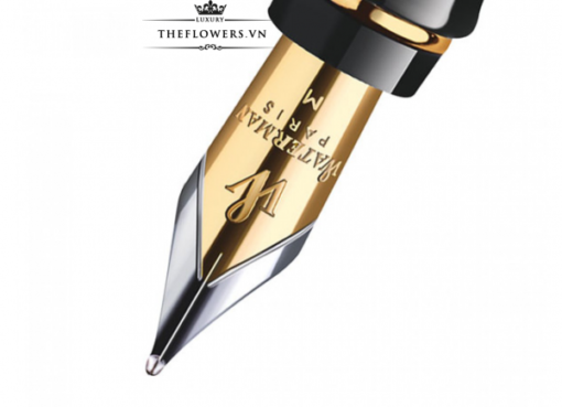 But-ky-Waterman-Expert-3-Laque-Black-3