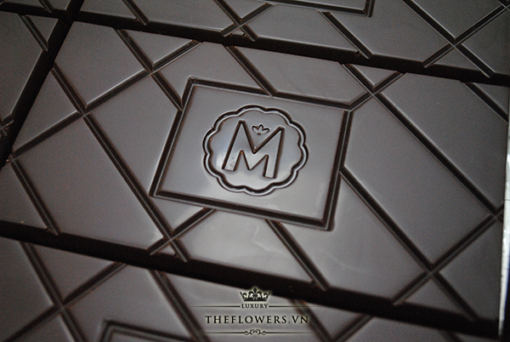 Huong-vi-Socola-Marou-Treasure-Island-34-Cacao