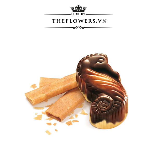 Socola-Guylian-Sea-Horses-Crunchy-Biscuit-140g-16-vien