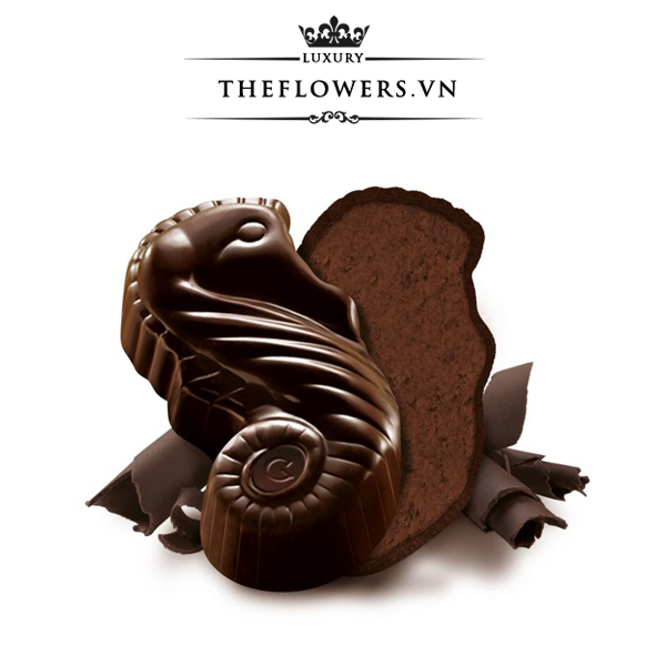 Socola-Guylian-Sea-Horses-Dark-Praliné-168g-Bi