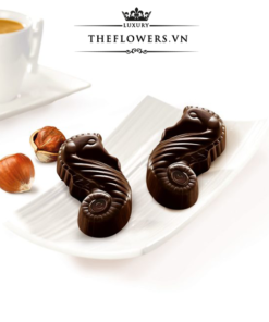Socola-Guylian-Sea-Horses-Dark-Praliné-168g-cua-Bi