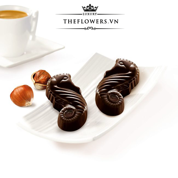 Socola-Guylian-Sea-Horses-Dark-Praliné-168g-cua-Bi