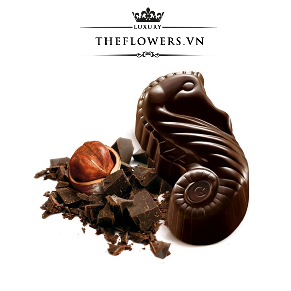 Socola-Guylian-Sea-Horses-Dark-Praliné-168g-hop-16-vien