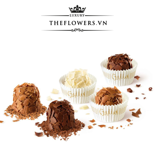 Socola-guylian-la-trufflina-hop-qua-180g