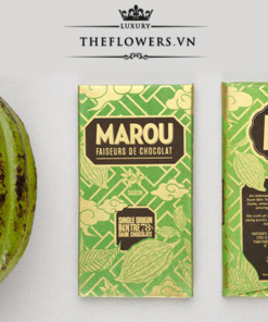 Thiet-ke-Socola-Marou-Ben-Tre-78%-Socola-den
