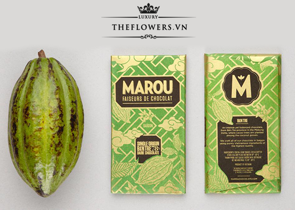 Thiet-ke-Socola-Marou-Ben-Tre-78%-Socola-den