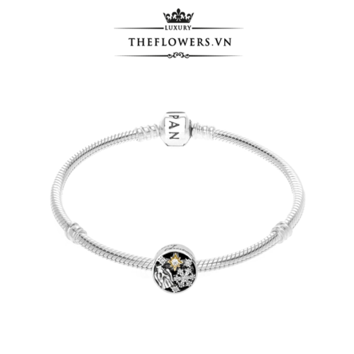 charm-pandora-celestial-wonders