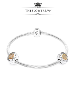 charm-pandora-signature-clip