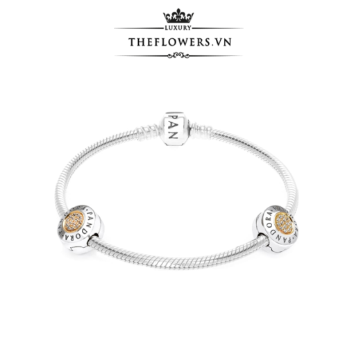 charm-pandora-signature-clip