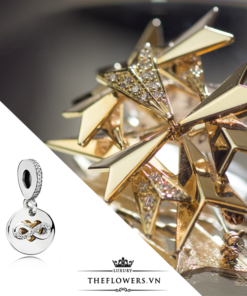 https://www.theflowers.vn/wp-content/uploads/2018/03/hat-charm-pandora-heart-of-infinity-pendant-vang-14k.png