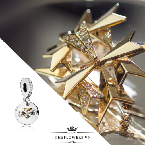 https://www.theflowers.vn/wp-content/uploads/2018/03/hat-charm-pandora-heart-of-infinity-pendant-vang-14k.png