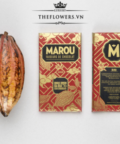 thiet-ke-Socola-Marou-Ba-Ria-76-%-Socola-den