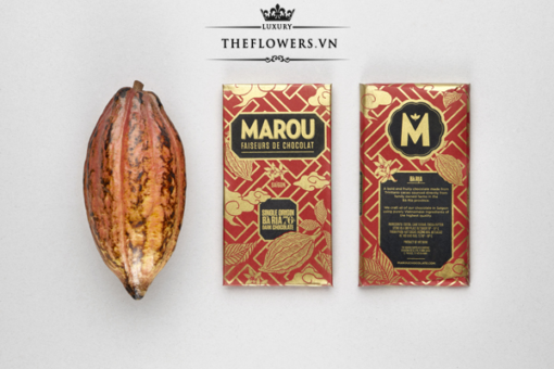thiet-ke-Socola-Marou-Ba-Ria-76-%-Socola-den