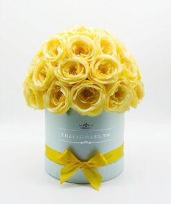 Hoa hồng lụa màu vàng hộp tròn xanh size M