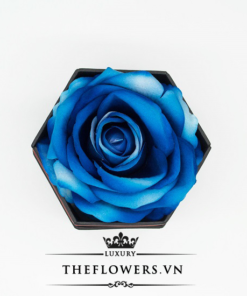 Hoa hồng một bông xanh hộp hình lục giác