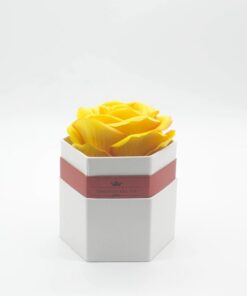 Hoa hồng một bông màu vàng hộp lục giác màu trắng