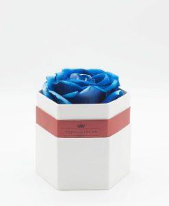 Hoa hồng một bông màu xanh hộp lục giác trắng