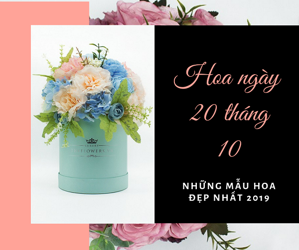 Hoa đẹp ngày 20 tháng 10