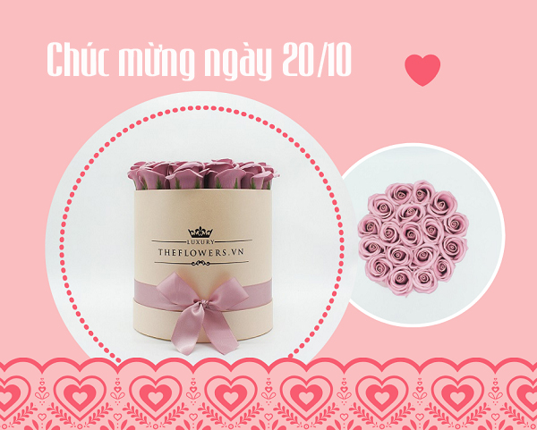 hoa-sap-hong-dat-hoa-dep-ngay-20-thang-10